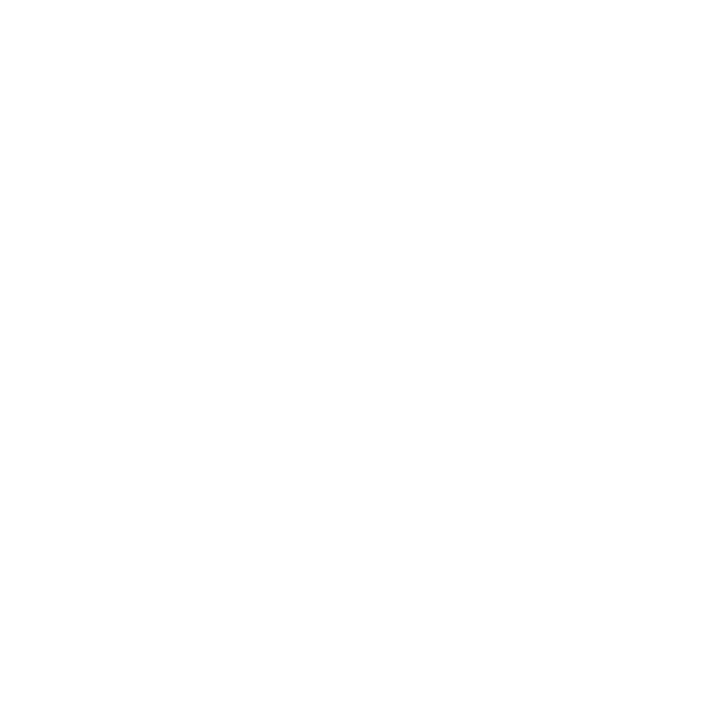 Check Details/Revenue Statements
